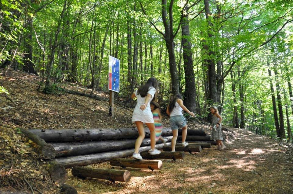 Hotel Snjezna Kuca - Nature Park Of Bosnia Herzegovina Padezina Exteriér fotografie