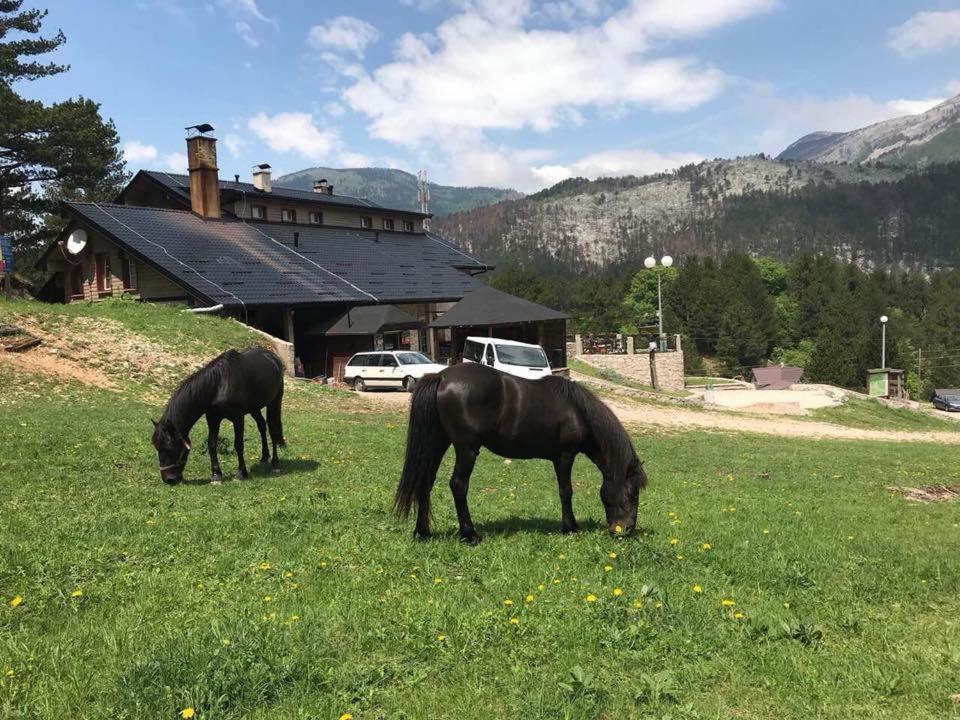 Hotel Snjezna Kuca - Nature Park Of Bosnia Herzegovina Padezina Exteriér fotografie