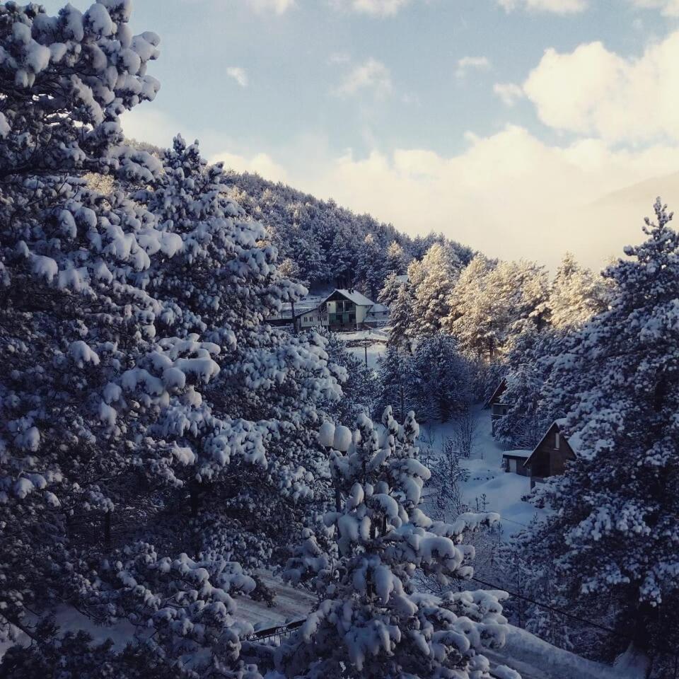 Hotel Snjezna Kuca - Nature Park Of Bosnia Herzegovina Padezina Exteriér fotografie