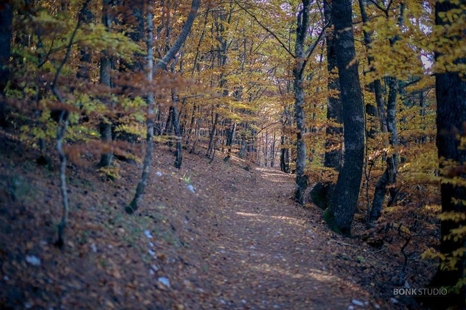 Hotel Snjezna Kuca - Nature Park Of Bosnia Herzegovina Padezina Exteriér fotografie