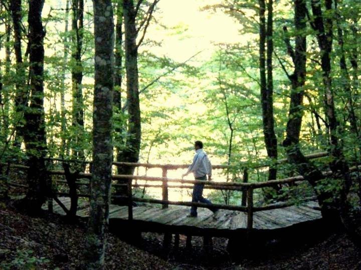 Hotel Snjezna Kuca - Nature Park Of Bosnia Herzegovina Padezina Exteriér fotografie